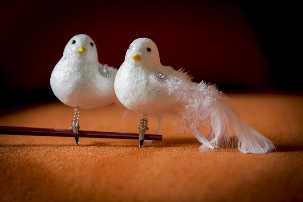 Two White Pigeons Villa Ieper Bilik gambar